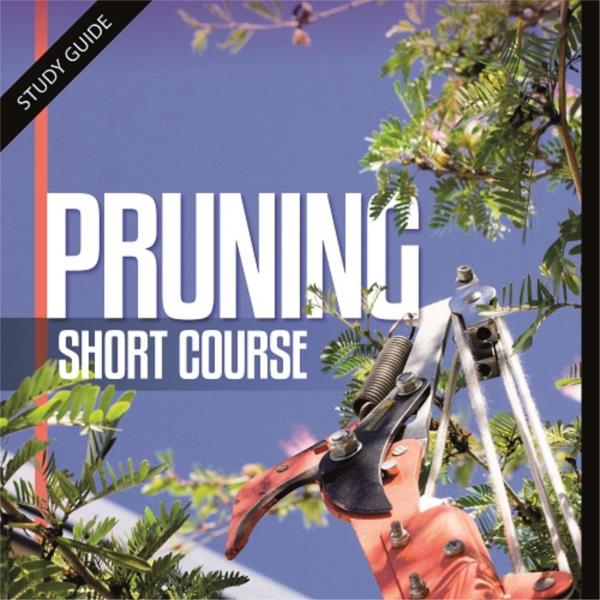 Pruning - Short Course