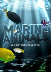 Marine Animals | Discover the life of the oceans